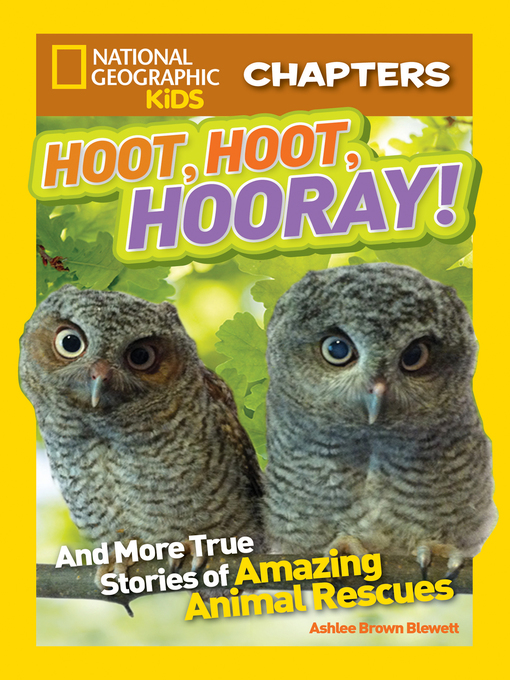 Title details for Hoot, Hoot, Hooray! by Ashlee Brown Blewett - Available